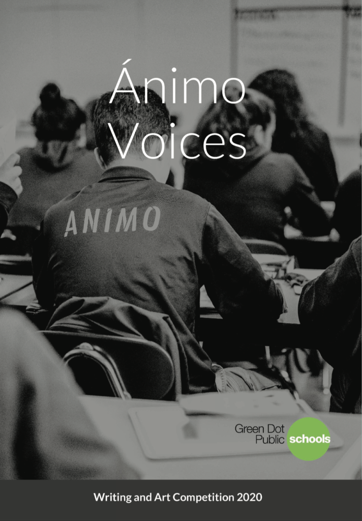 45319514_animo_voices_book_cover
