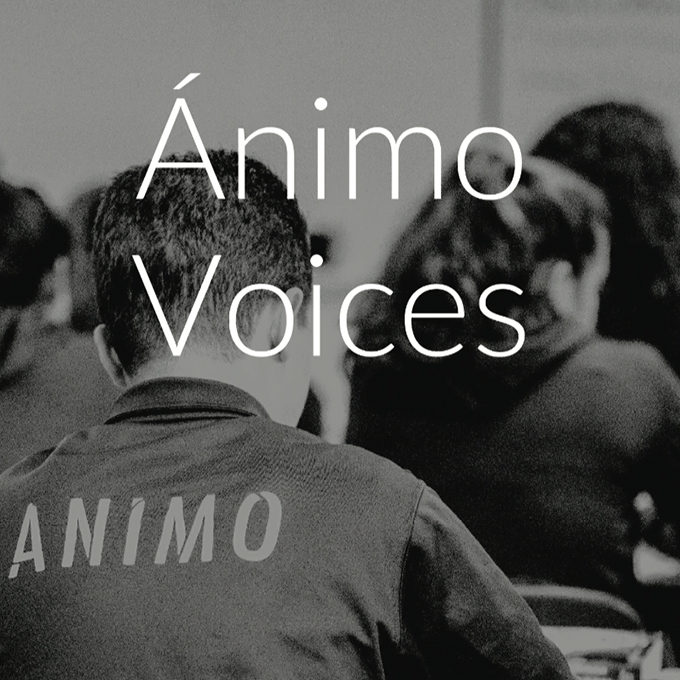 Animo Voices